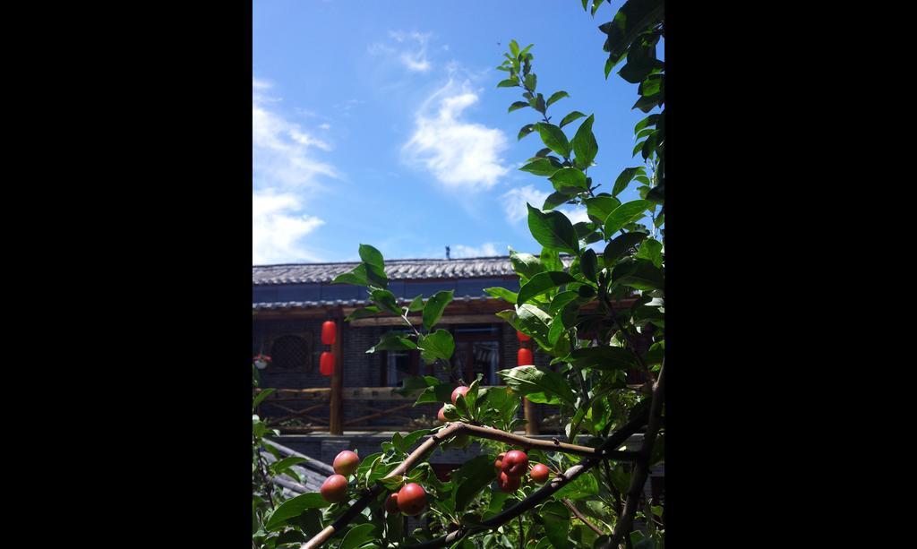 Lazy Tiger Inn ลี่เจียง ภายนอก รูปภาพ
