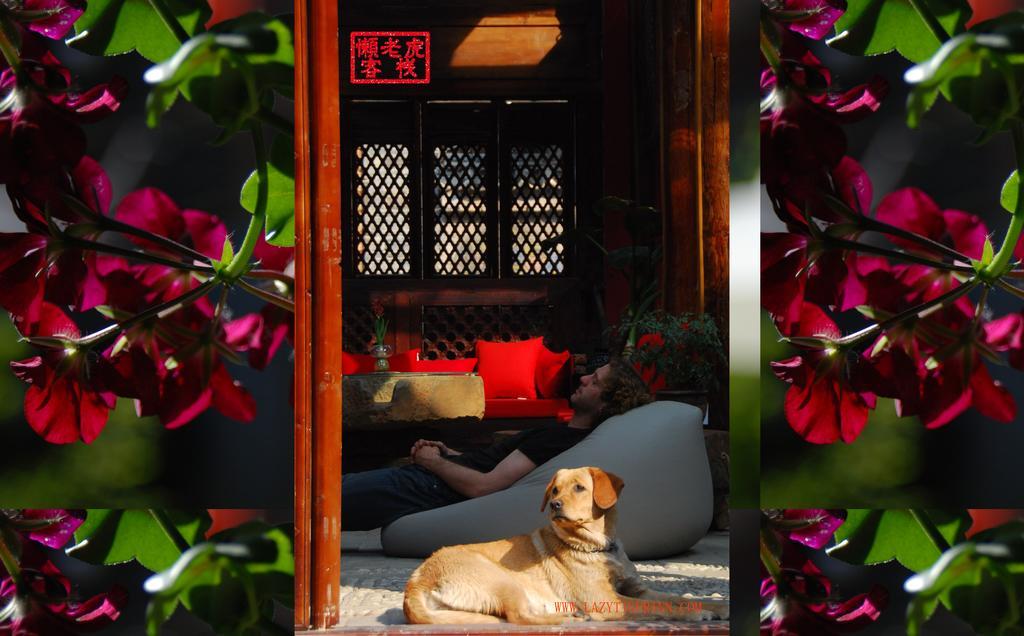 Lazy Tiger Inn ลี่เจียง ภายนอก รูปภาพ